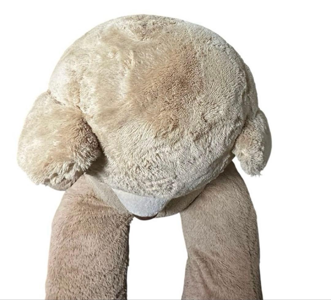 コストコ クマ ぬいぐるみ コストコベア 236cm 特大 big bear