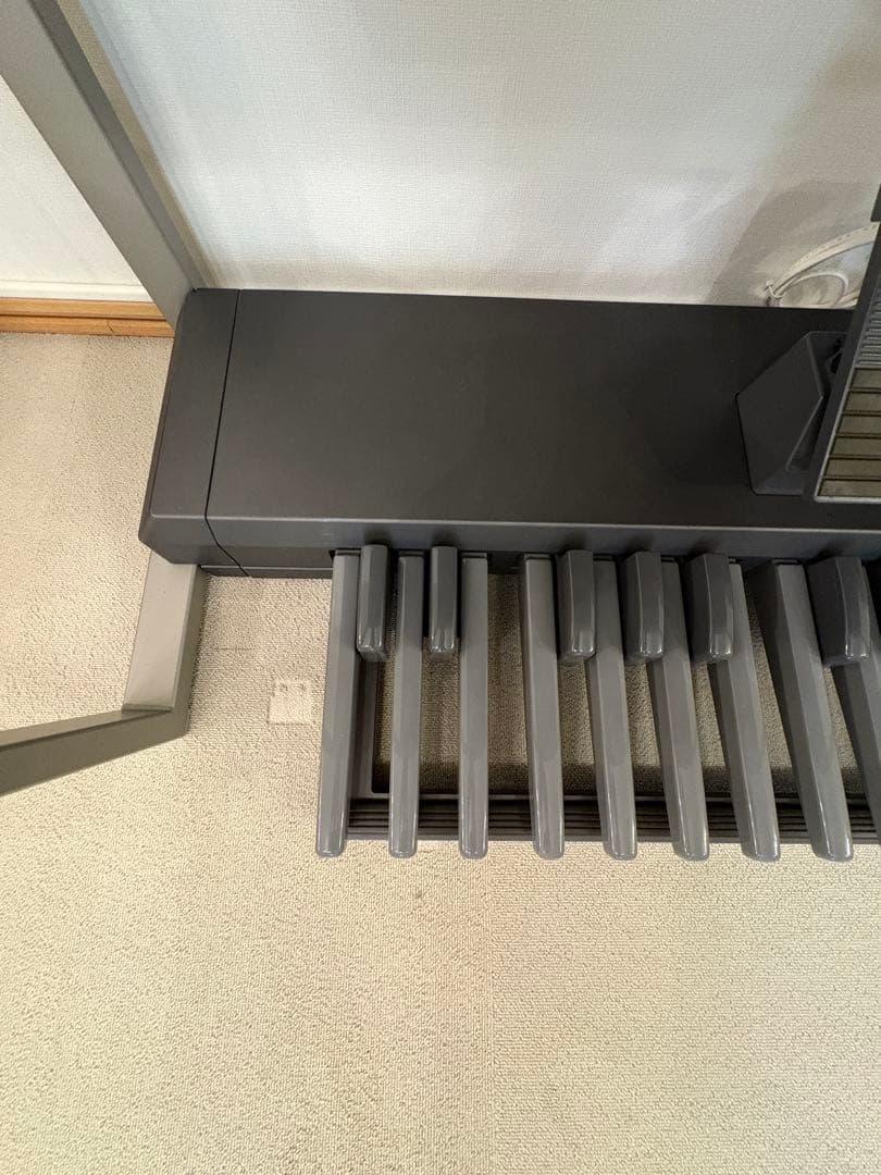 YAMAHA STAGEAカスタム　ELS-01CH 2012年バイタライズ済