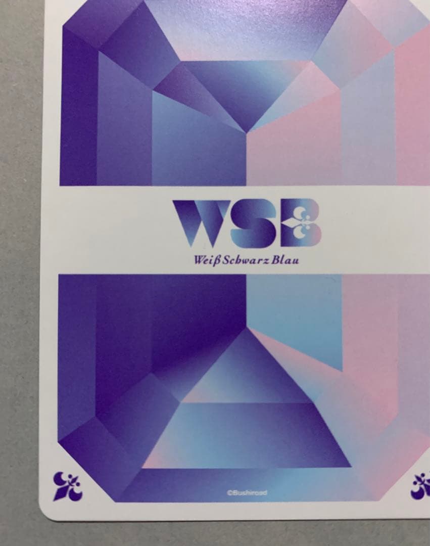 ZINGAI  Eve - 幻夢  SSP  ヴァイスシュヴァルツブラウ　WSB