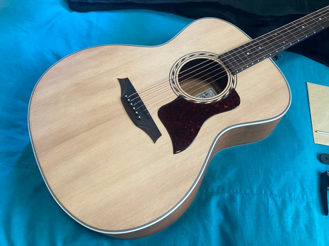 Bromo Guitars BAA2 ブロモギター ピックアップ仕様