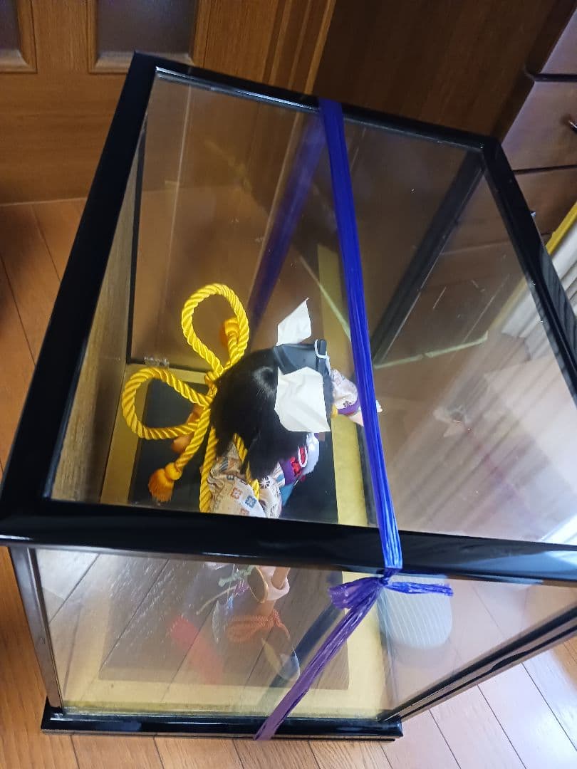 昭和好洋作 絹100%手縫い 本頭 市松人形仕様 豪華金襴着物 専用ガラスケース