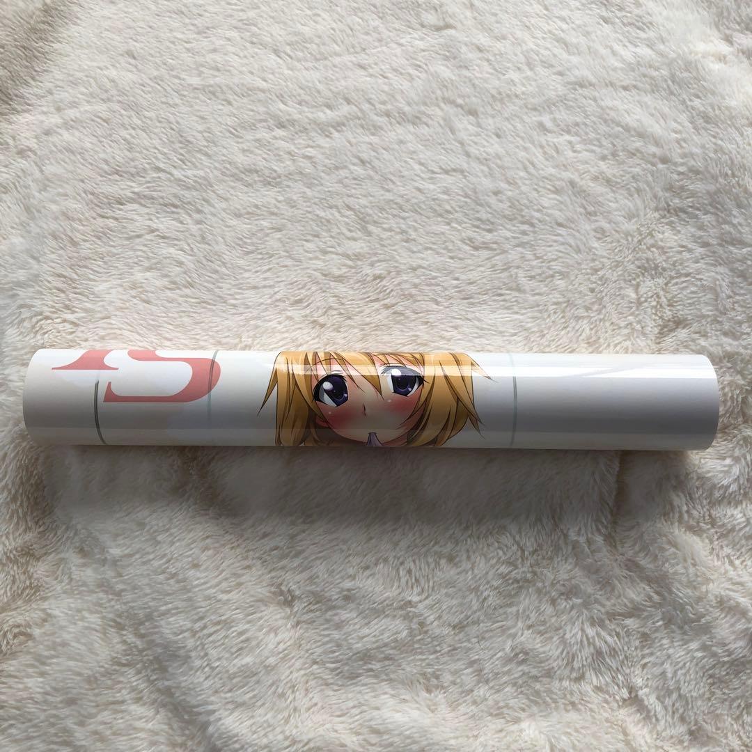 インフィニット・ストラトスシャルロットのお風呂ポスター