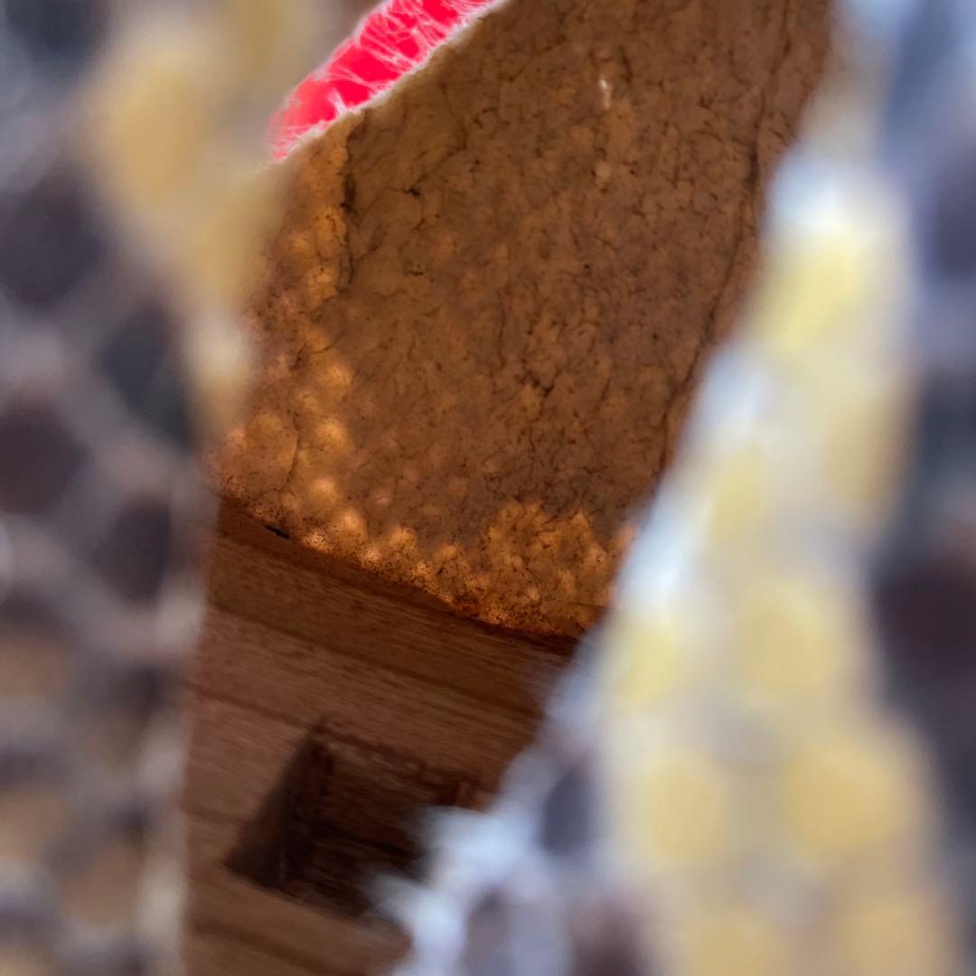 三線 本皮 ヘビ皮 蛇 ハードケース付き