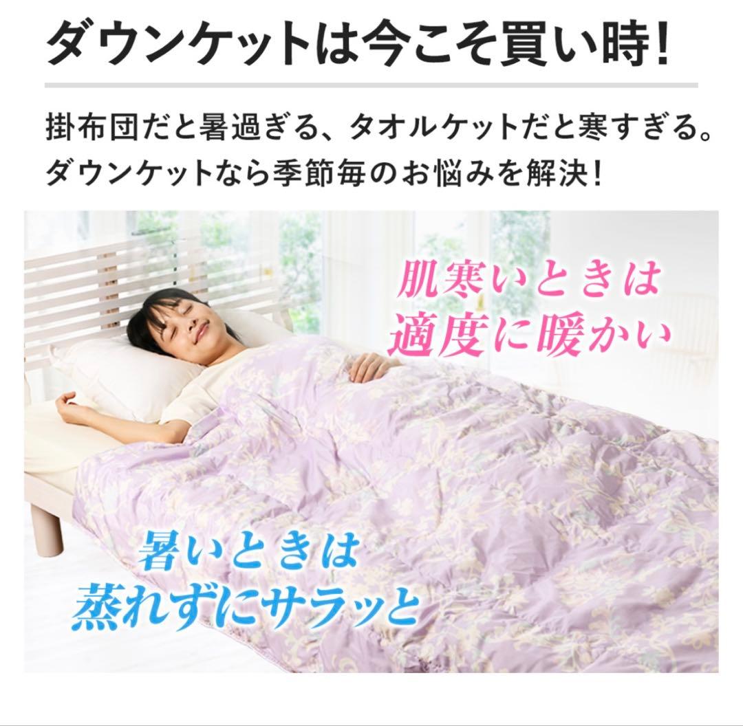 モリリン　洗えるダウンケット　2枚組シングルセット