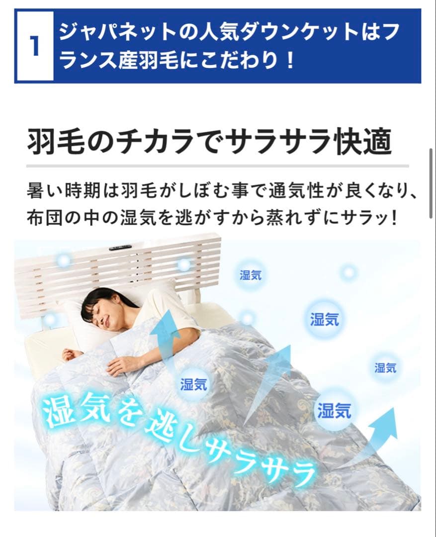 モリリン　洗えるダウンケット　2枚組シングルセット