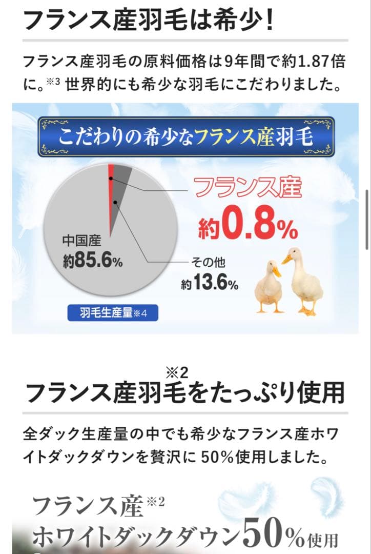 モリリン　洗えるダウンケット　2枚組シングルセット