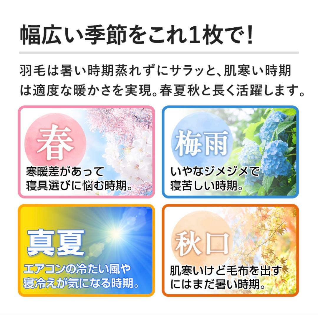 モリリン　洗えるダウンケット　2枚組シングルセット