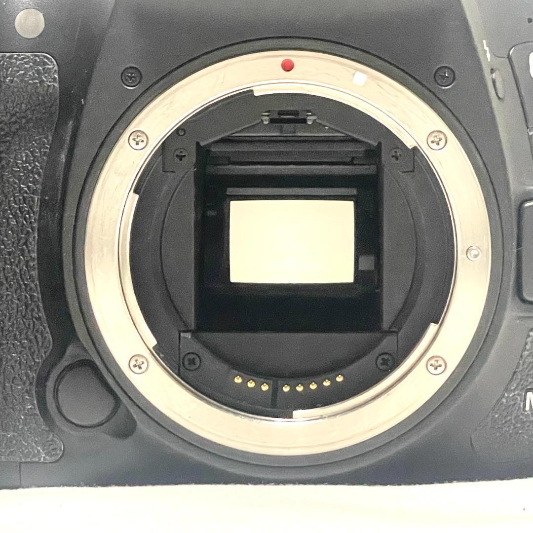 秒間10コマ連写❣️ Canon EOS 7D Mark II Wレンズセット