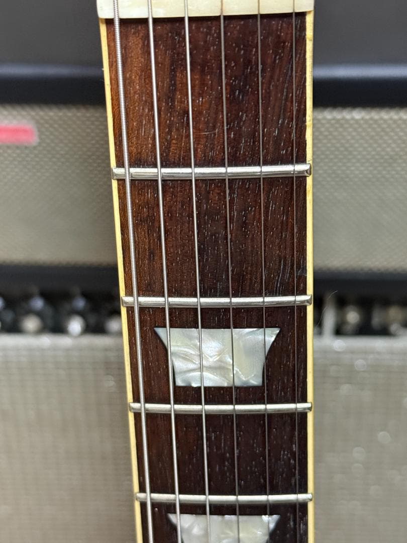 EPIPHONE ELP Standard Appetite Amber 日本製