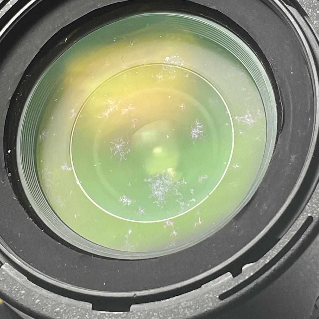 ニコン D90 / AF-S NIKKOR 18-105mm VR セット