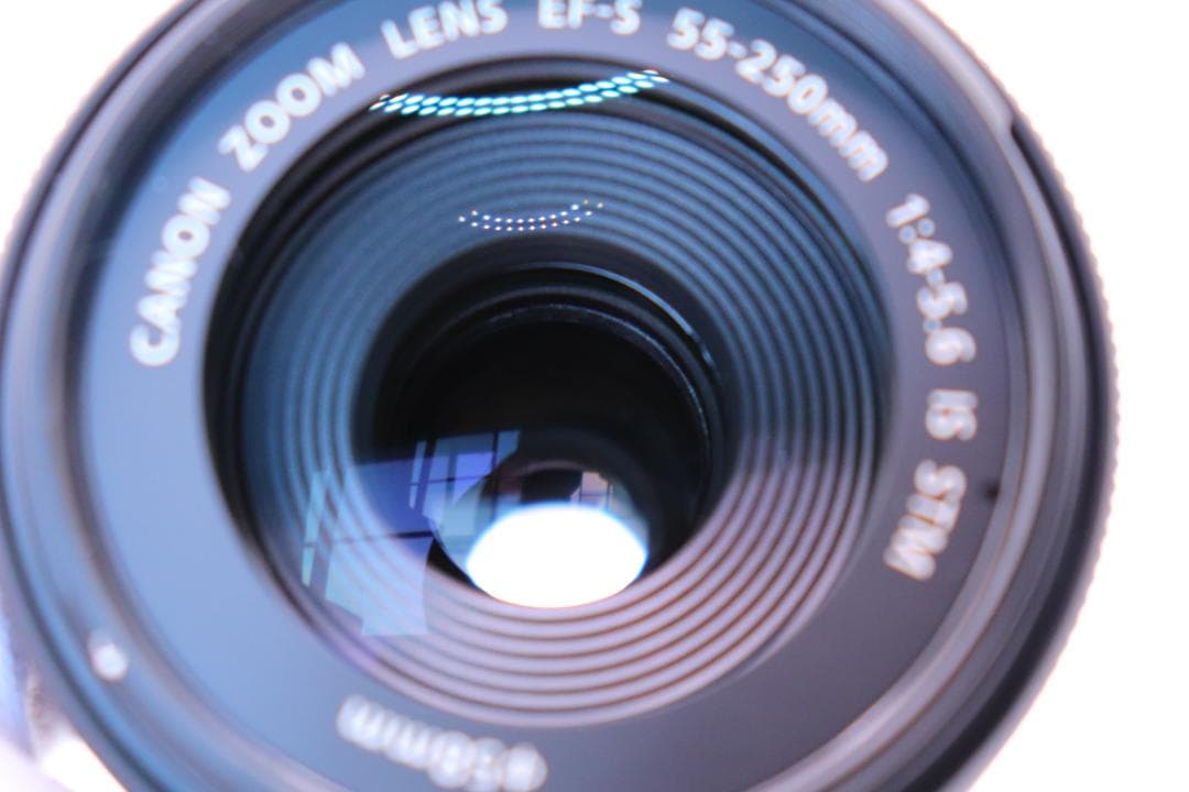 【新品級・保証付】Canon EF-S 55-250mm IS STM レンズ②