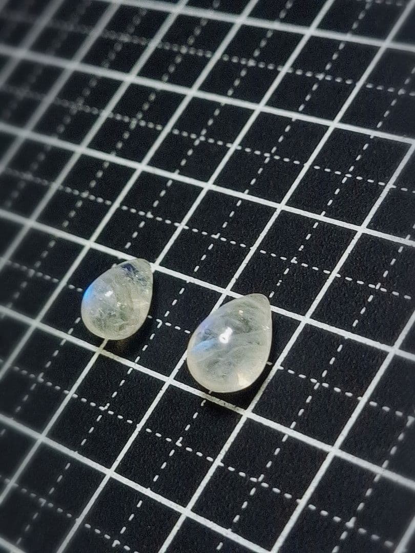 せろり様 ご確認ページ