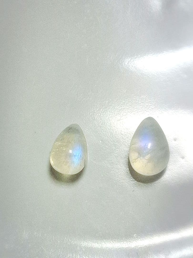 せろり様 ご確認ページ