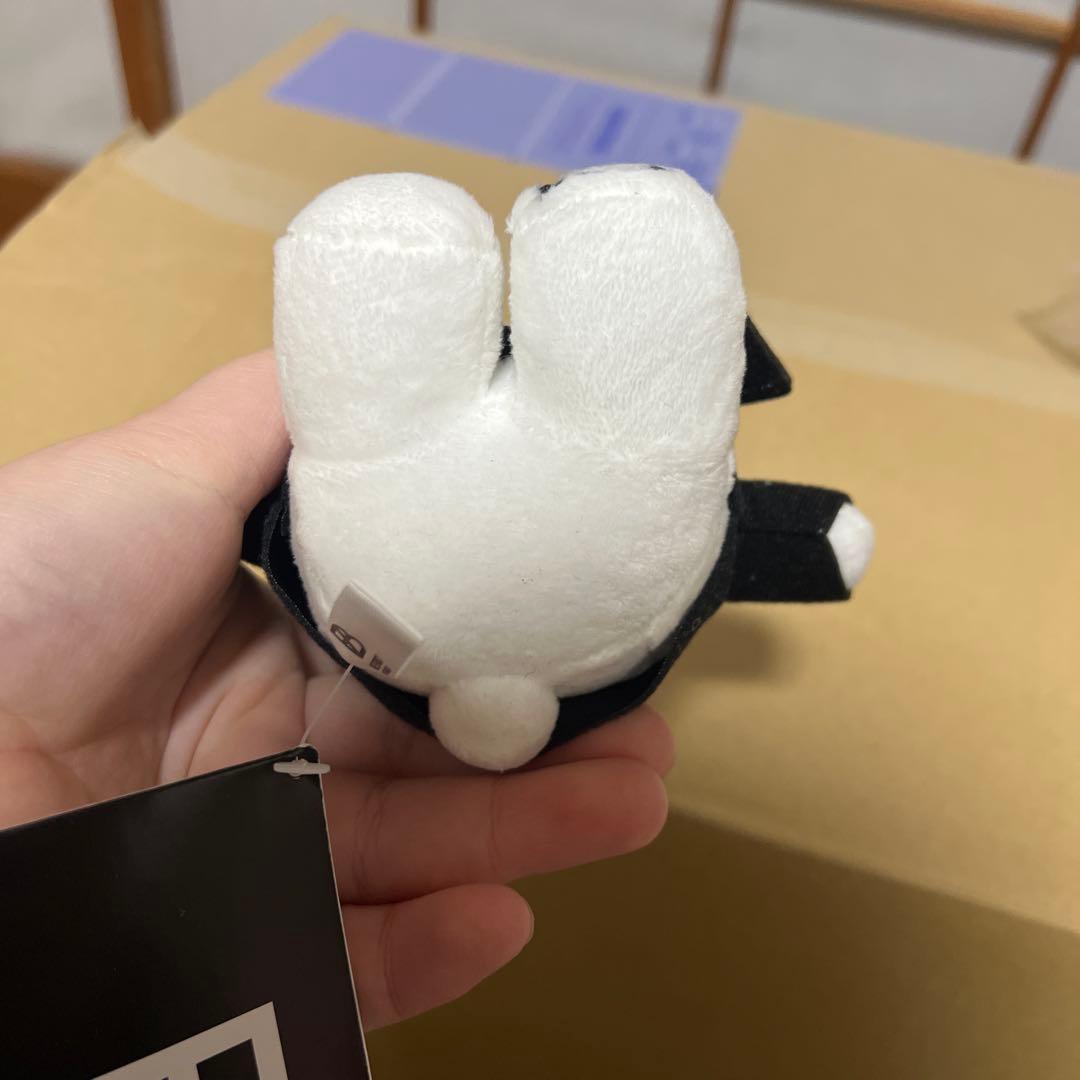 BE:FIRST モアプラス　くま　ぬいぐるみマスコット　MANATO