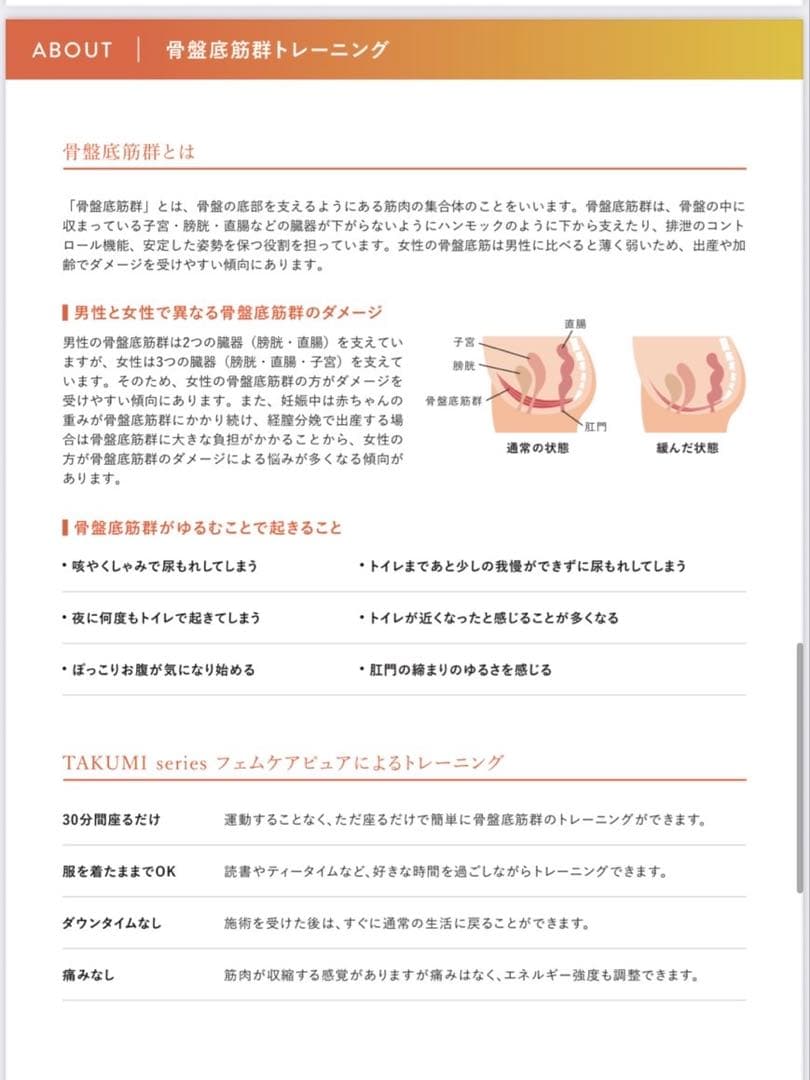 【美品】フェムケア チェアー⭐︎骨盤底筋トレーニング⭐︎椅子⭐︎電磁パレス