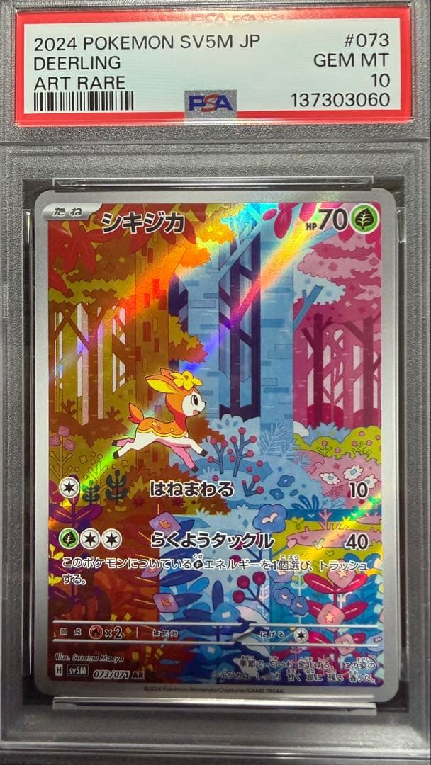 シキジカ　メブキジカ　AR PSA10 連番セット
