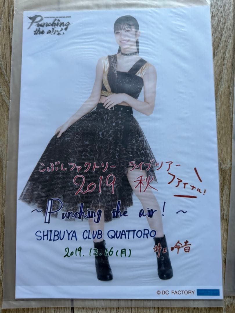 Juice=Juice 井上玲音　日付入りA5ワイド　日替わり写真　17枚セット