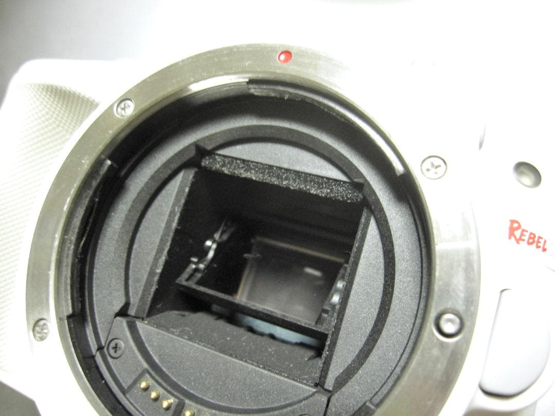 【希少】Canon EOS REBEL SL1 (kiss X7)ホワイトカラー