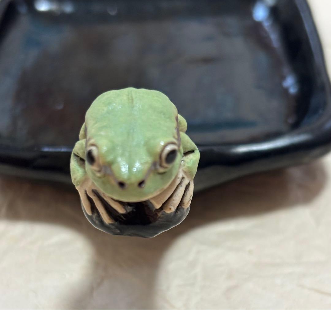 きたむら工房　アマガエル休み取っ手つき付プレート角