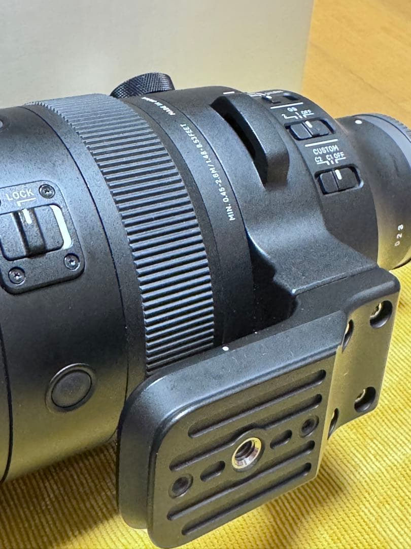 SIGMA 60-600mm F4.5-6.3 DG DN OSS Eマウント