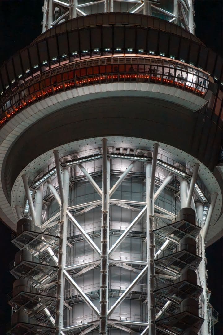 SIGMA 60-600mm F4.5-6.3 DG DN OSS Eマウント