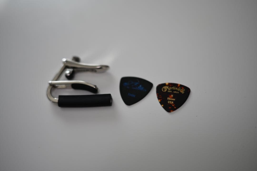 ギター Takamine DMP551C WR