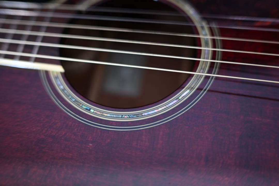 ギター Takamine DMP551C WR