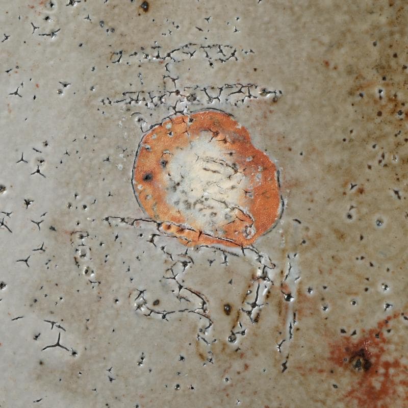 益子焼　高内秀剛作　塩釉　手付四方皿　共箱　V　R9086B