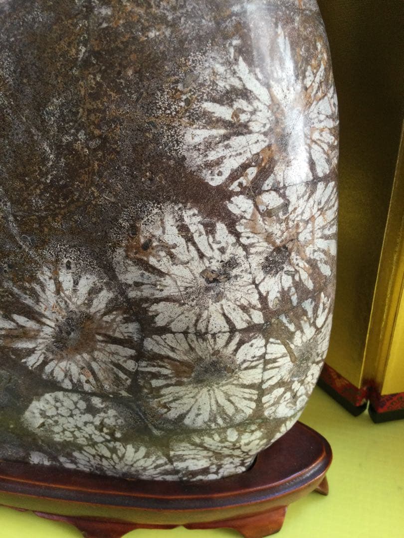 岐阜県根尾谷さ産　菊花石　67195g 極上品　　菊花石　　観賞石
