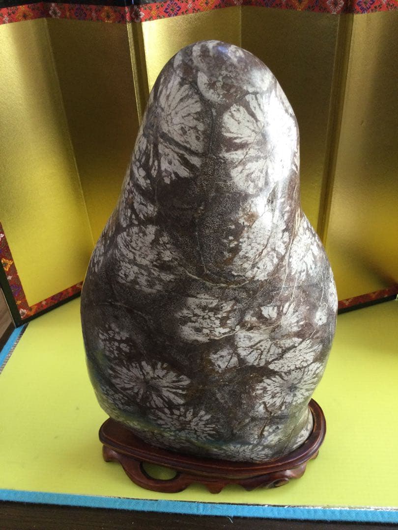 岐阜県根尾谷さ産　菊花石　67195g 極上品　　菊花石　　観賞石
