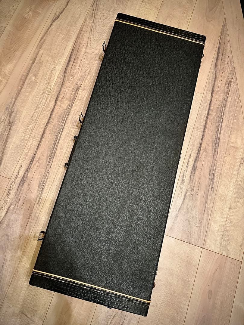 【ハードケース付き】エレキギター