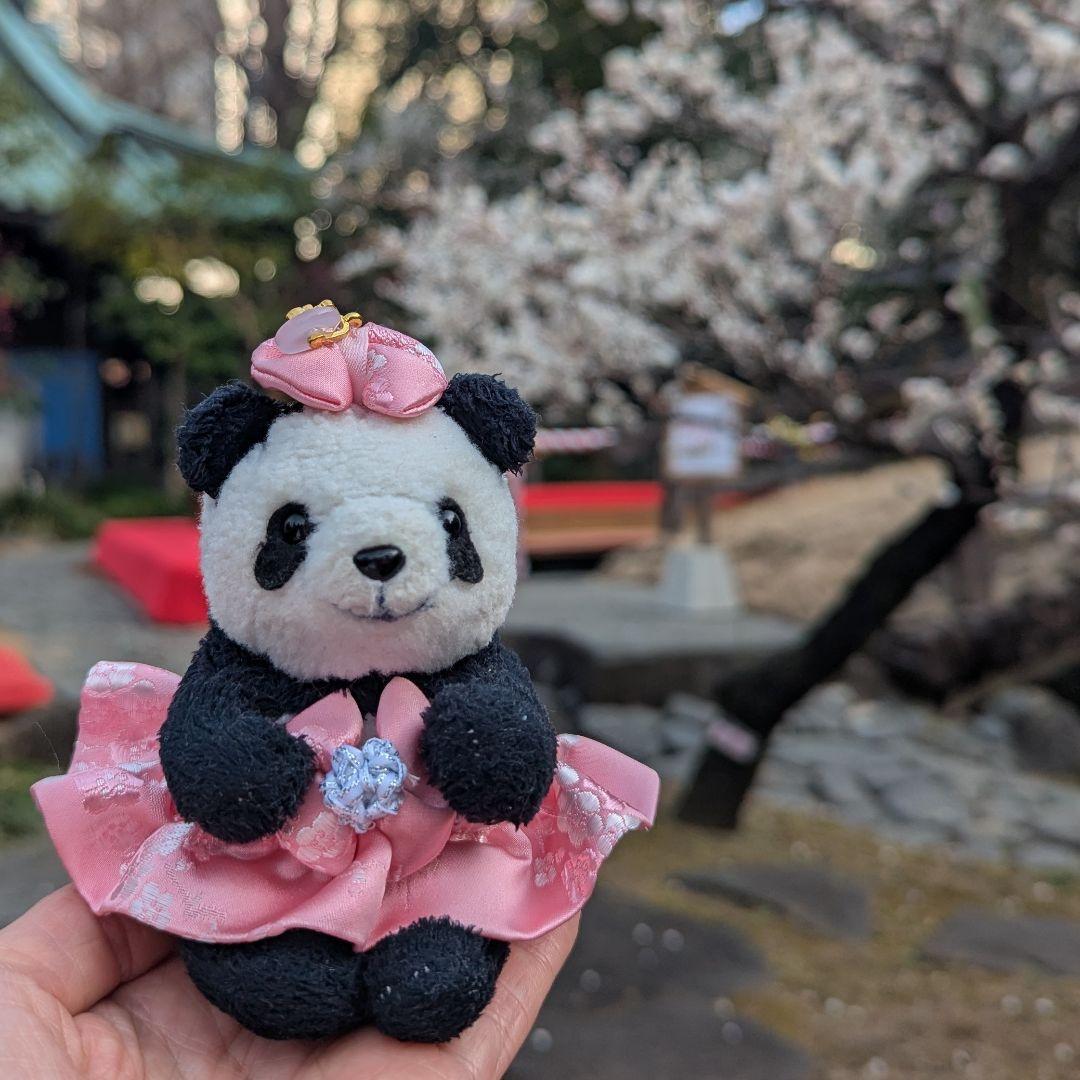 【再販☆現在販売品】おでかけシャン♡シャオ♡レイ❤️お祝いコスチューム✿
