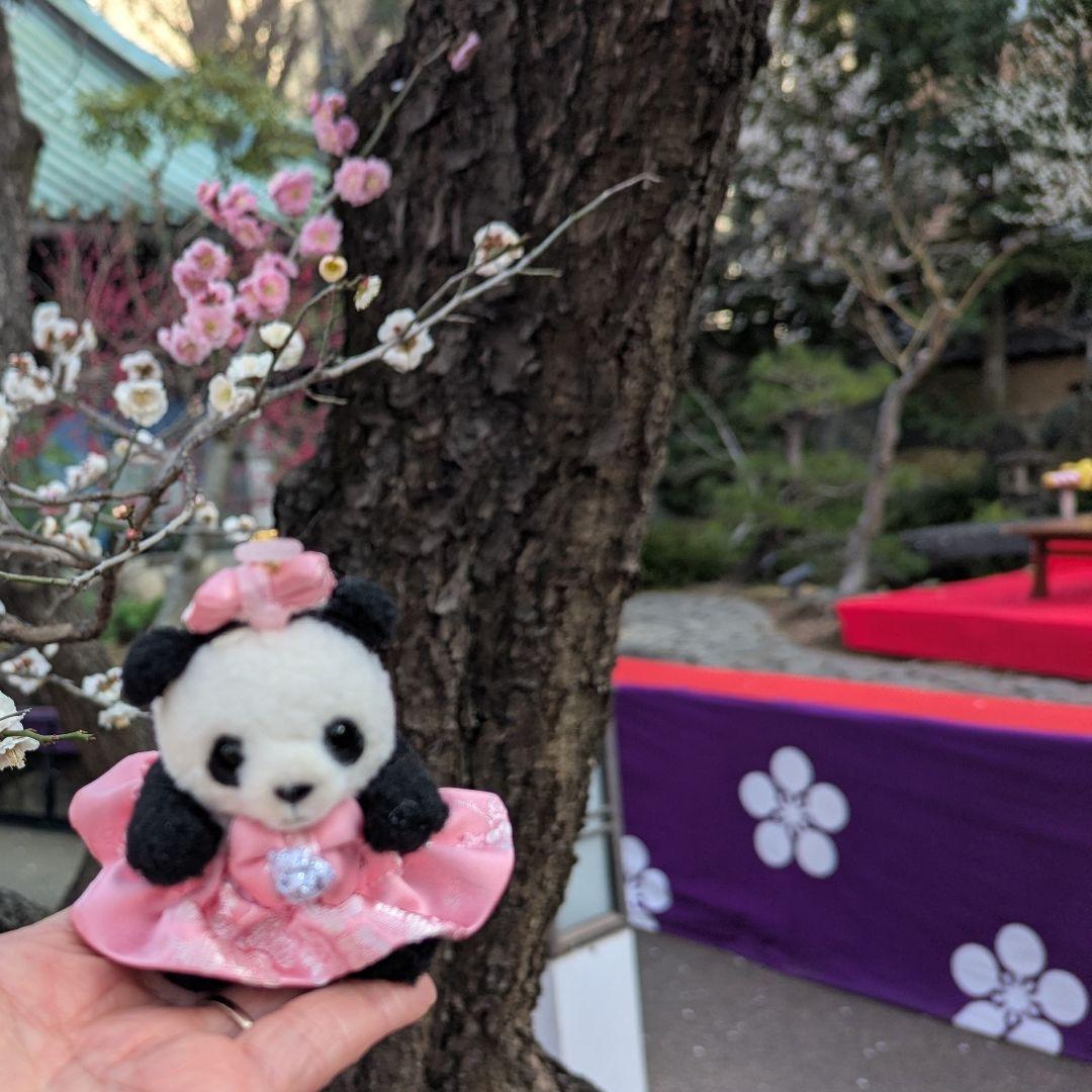 【再販☆現在販売品】おでかけシャン♡シャオ♡レイ❤️お祝いコスチューム✿
