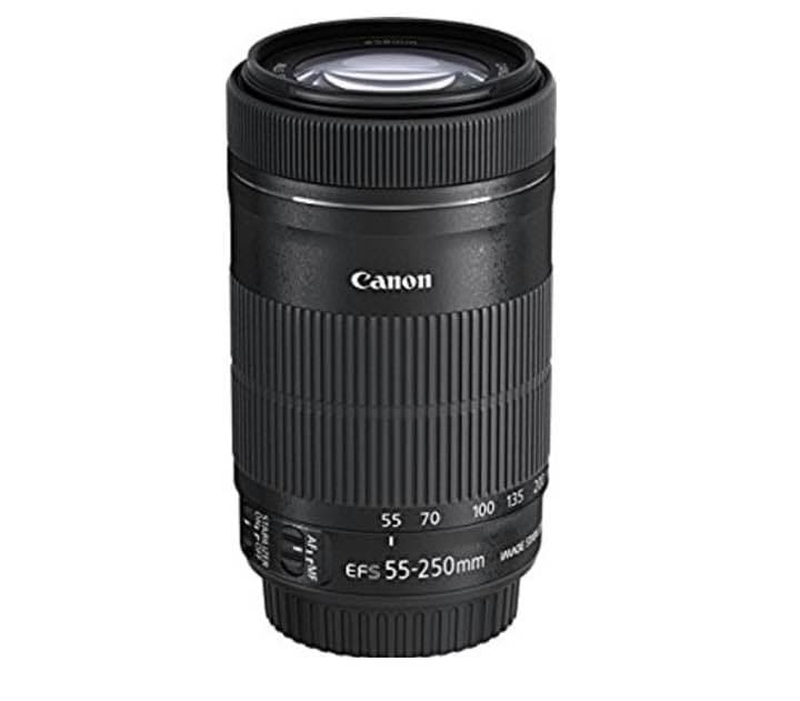 Canon 望遠ズームレンズ EF-S55-250mm
