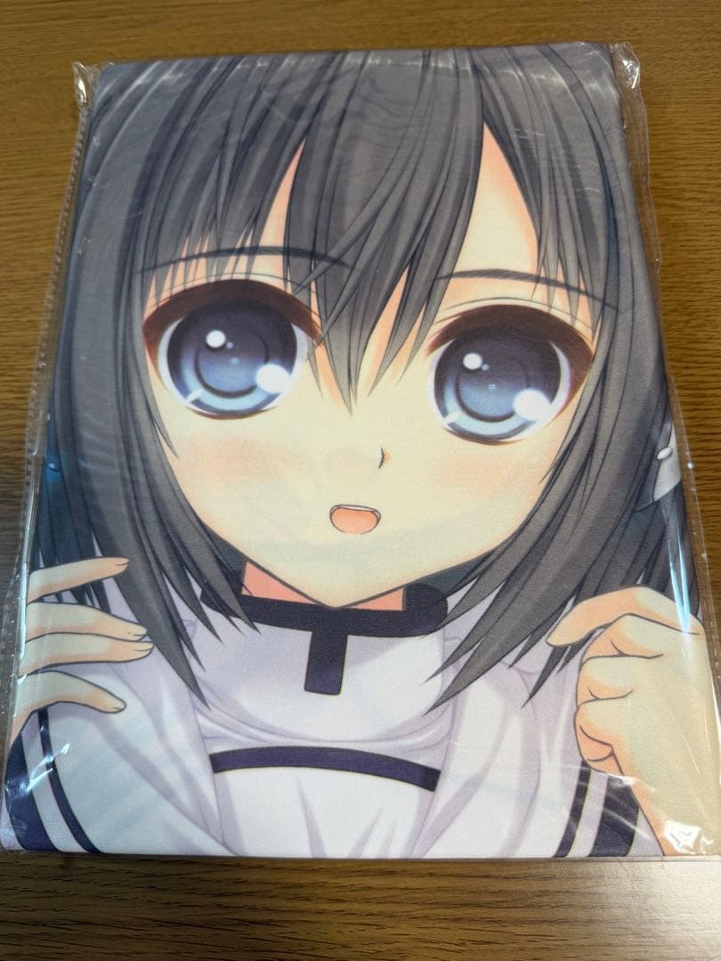 【未開封品】　抱き枕カバー　16点セット　ソフマップ特典