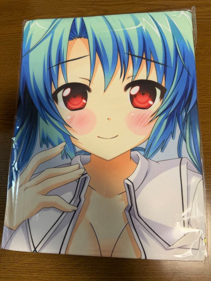 【未開封品】　抱き枕カバー　16点セット　ソフマップ特典