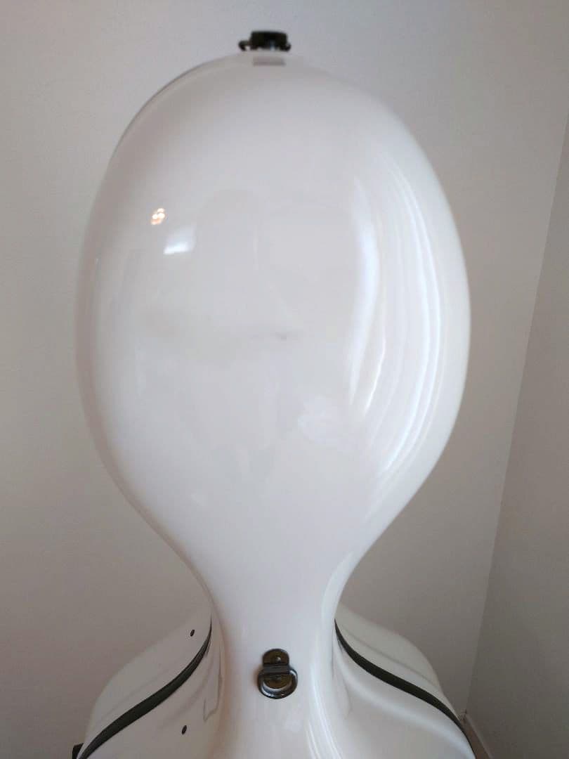 EASTMAN イーストマン チェロハードケース　スタンダード