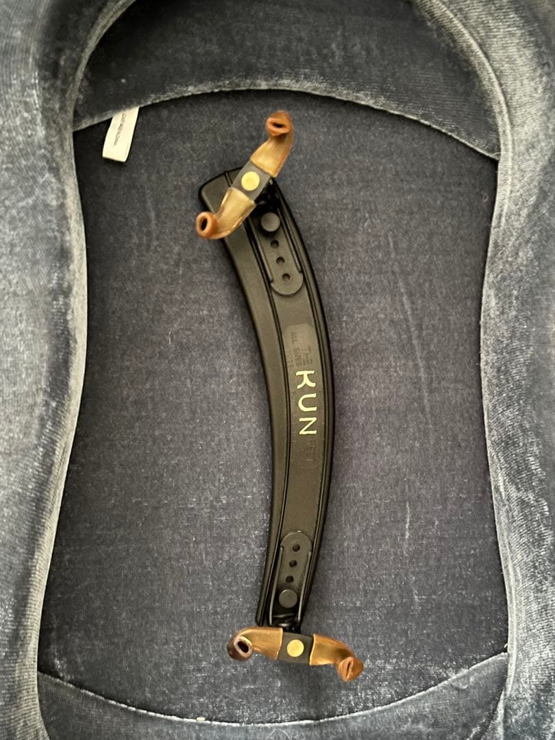 【美品】Carlo giordano VL-2 ビオラ ヴィオラ