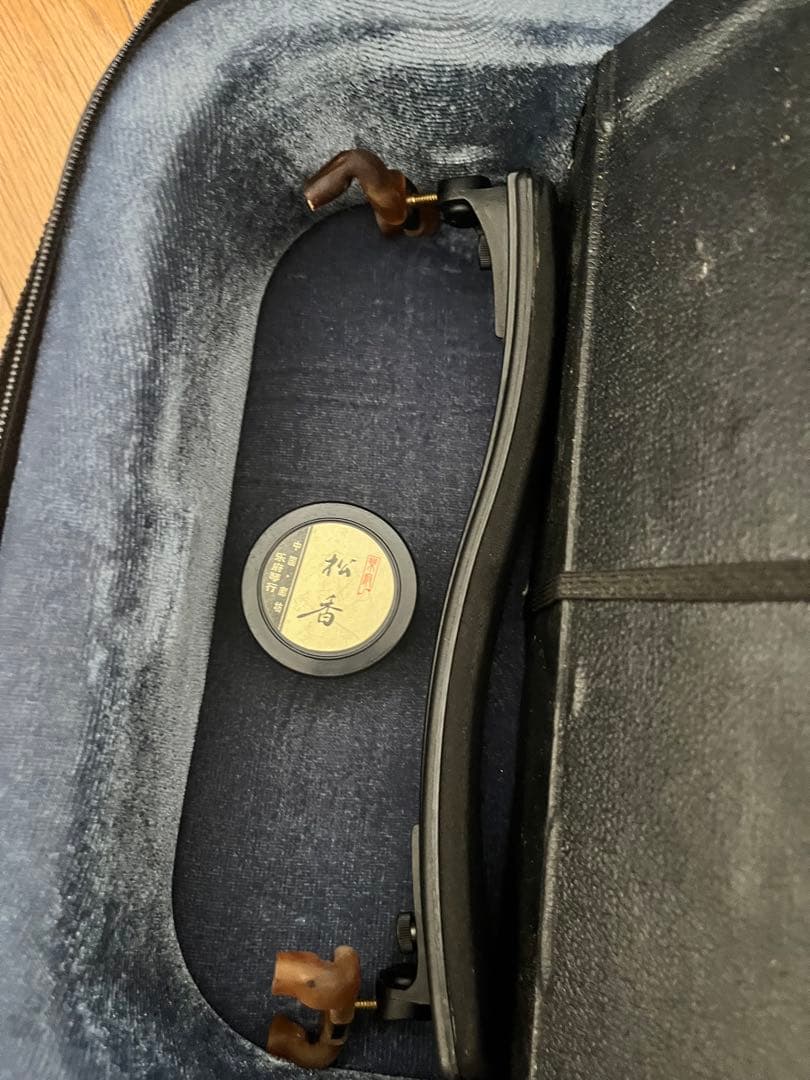 【美品】Carlo giordano VL-2 ビオラ ヴィオラ