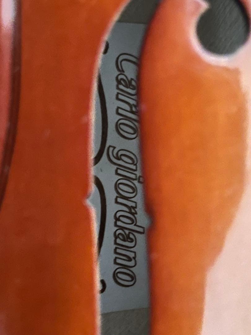 【美品】Carlo giordano VL-2 ビオラ ヴィオラ