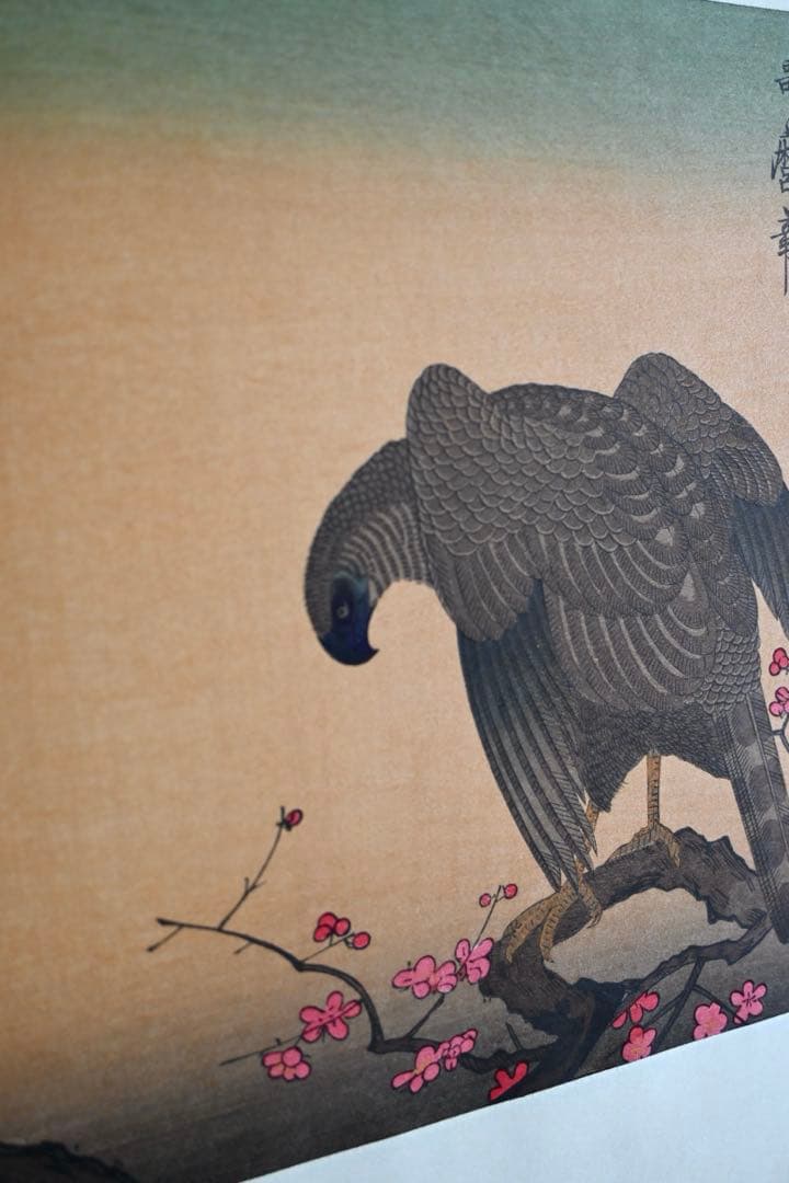 歌川広重　紅梅に鷹