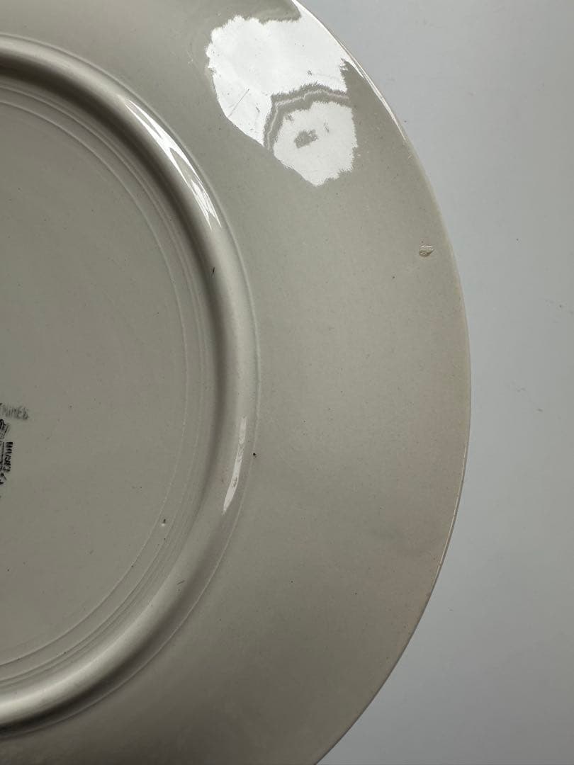 DIGOIN ディゴワンサルグミンヌ　チューリップの平皿　フランス　アンティーク