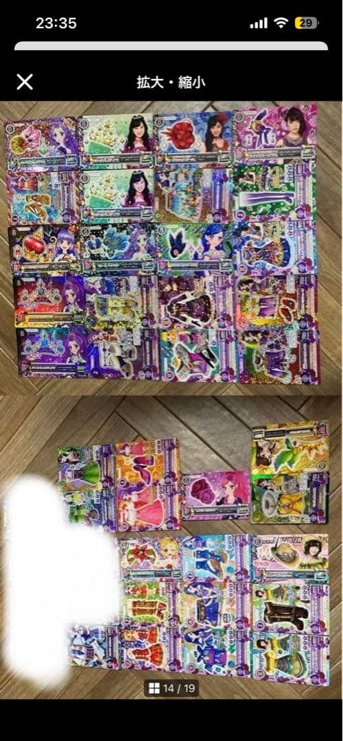 シャムタビー✨