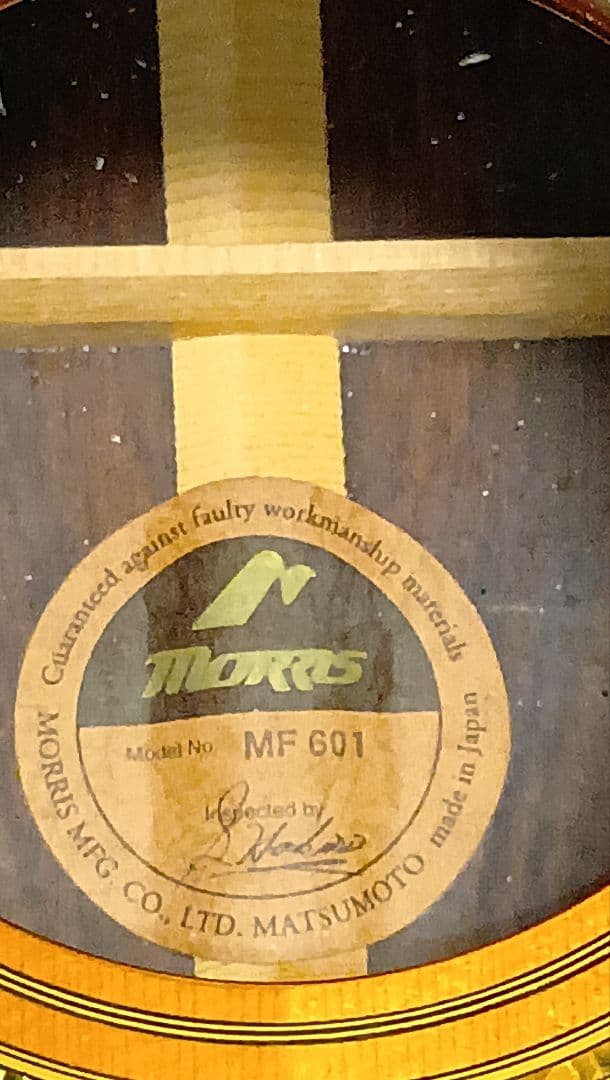 アコースティックギター FM 601