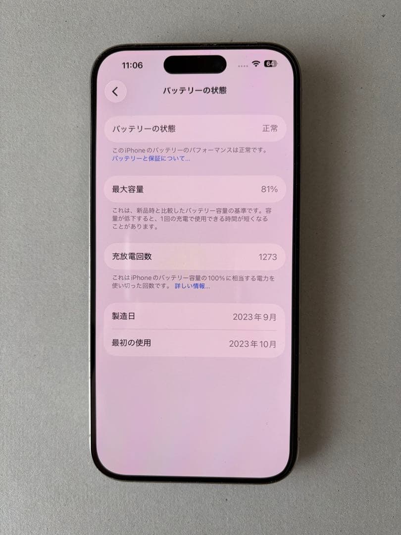 【美品】iPhone 15 Pro 256GB チタニウム (純正ケース付)