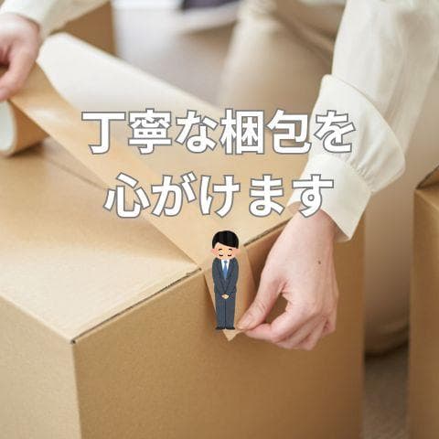 脱毛器 無痛脱毛 自動照射 60万発9段階 全身適用 vio対応 家庭用 男女m