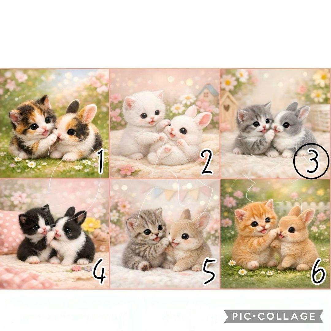 【2月】チロスケ