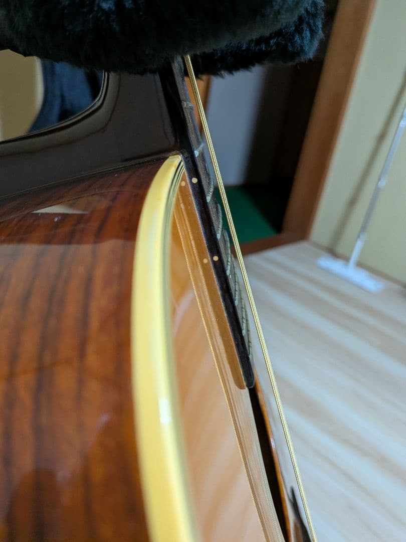 Cat's Eyes CE-600TW 12弦、1981年製ビンテージ美品、