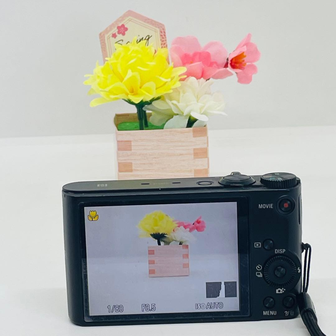 SONY ソニー　コンパクトデジタルカメラ　DSC-WX350