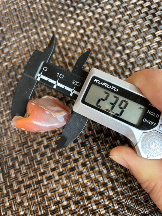 ゴビ石−248 ゴビ瑪瑙　原石　花眼